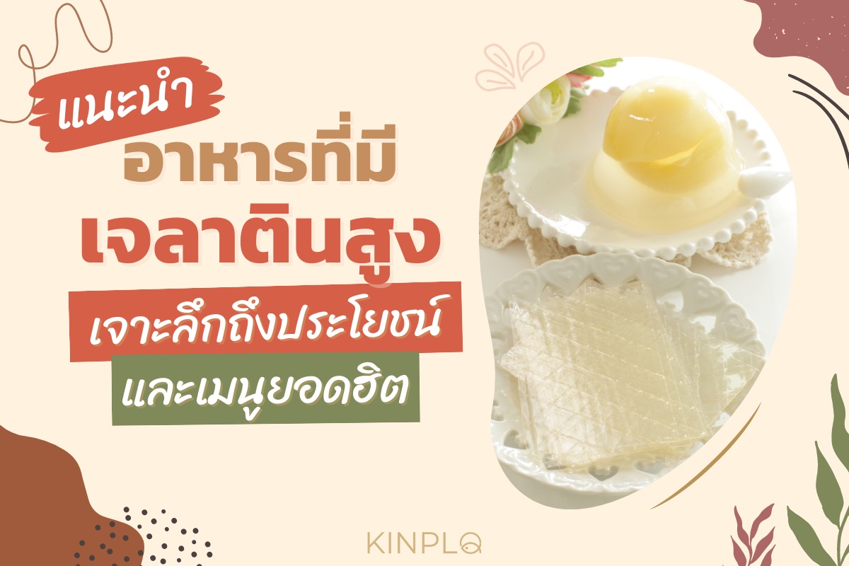 แนะนำ อาหารที่มีเจลาตินสูง เจาะลึกถึงประโยชน์ และเมนูยอดฮิต