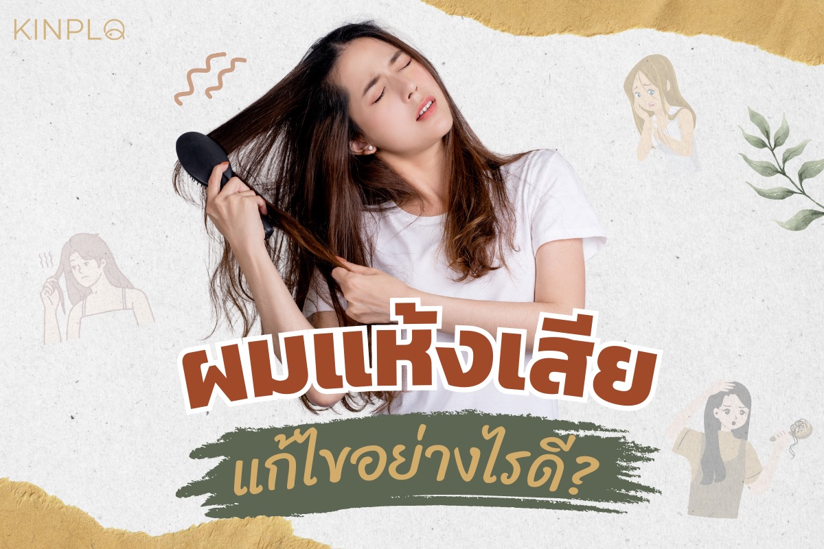 ผมแห้งเสีย แก้ไขอย่างไรดี
