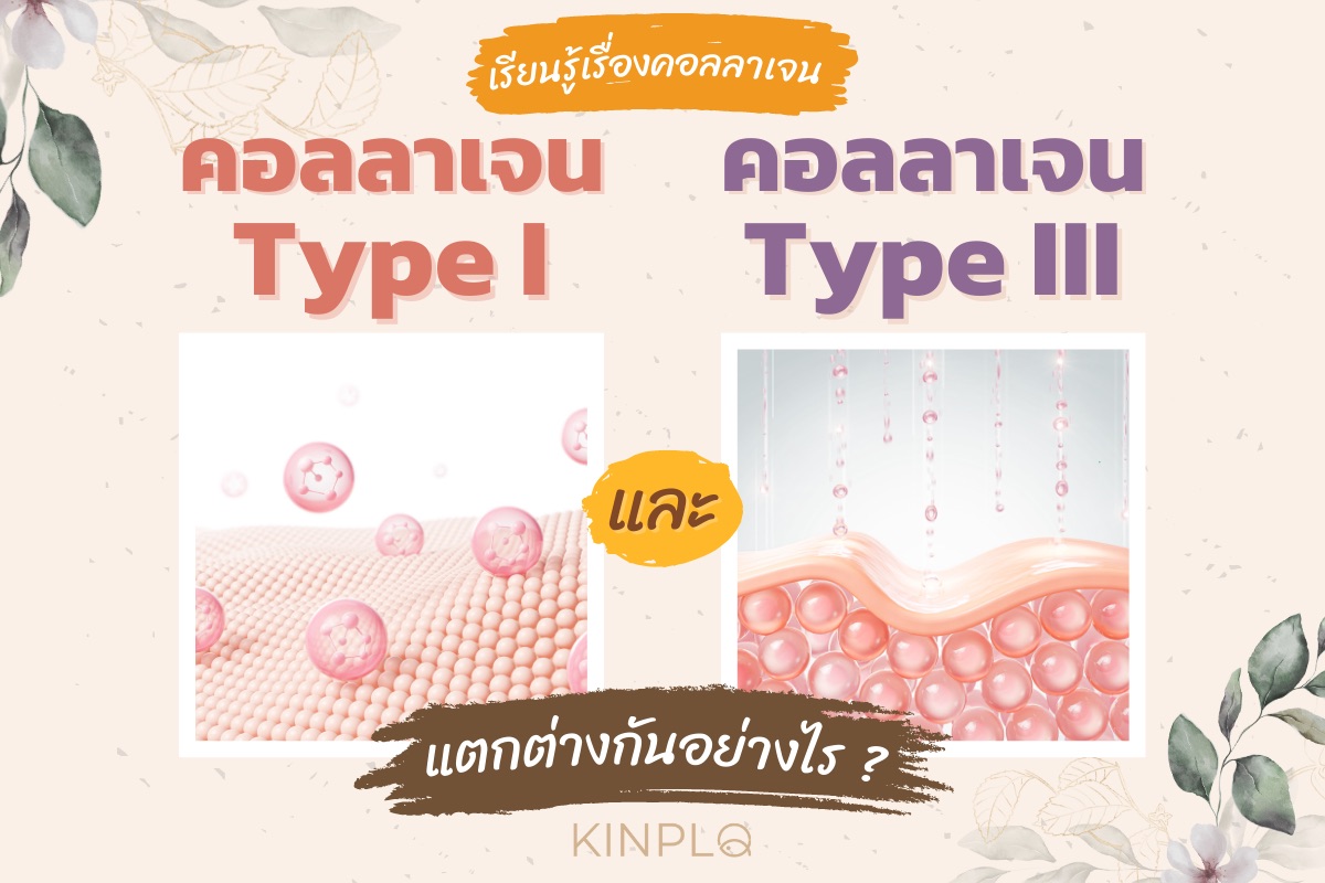 คอลลาเจน Type I และ III แตกต่างกันอย่าไร ?