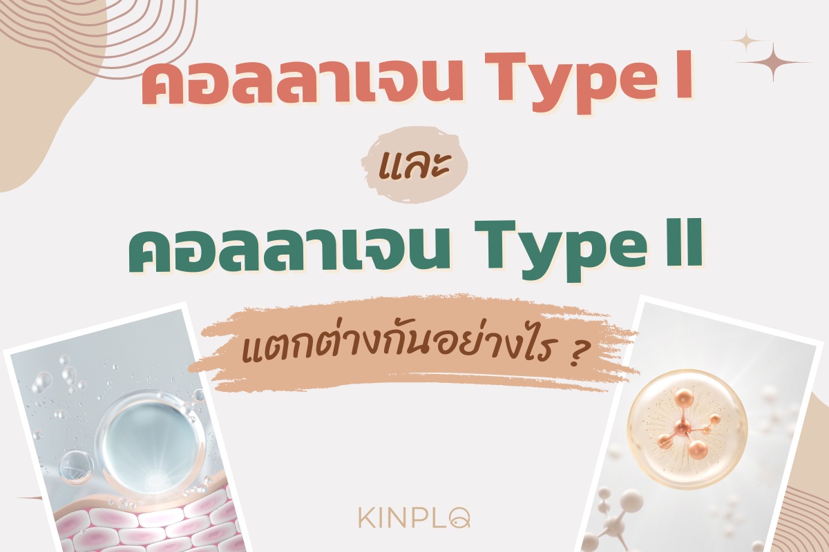 คอลลาเจน Type I และ Type II แตกต่างกันอย่างไร ?