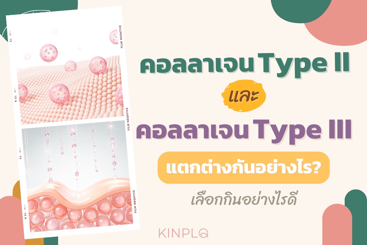 คอลลาเจน Type II และ III แตกต่างกันอย่างไร