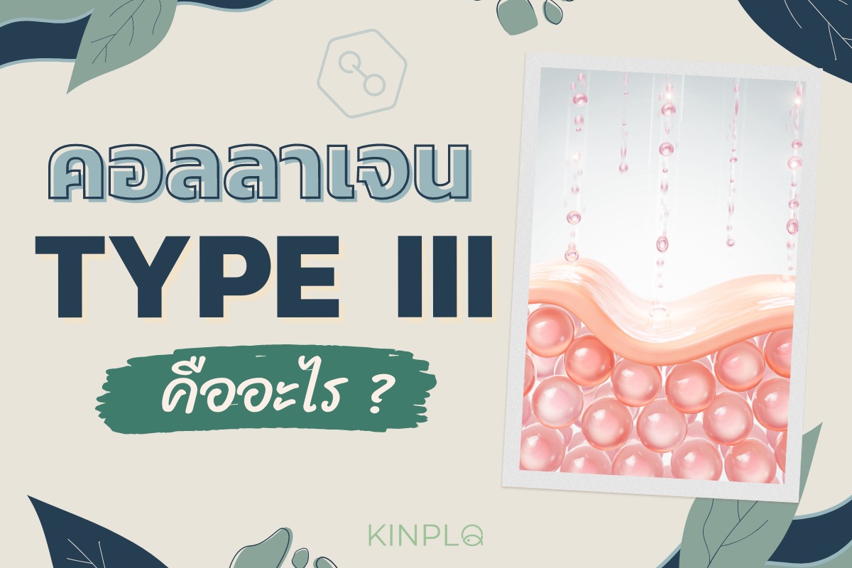 คอลลาเจน Type III